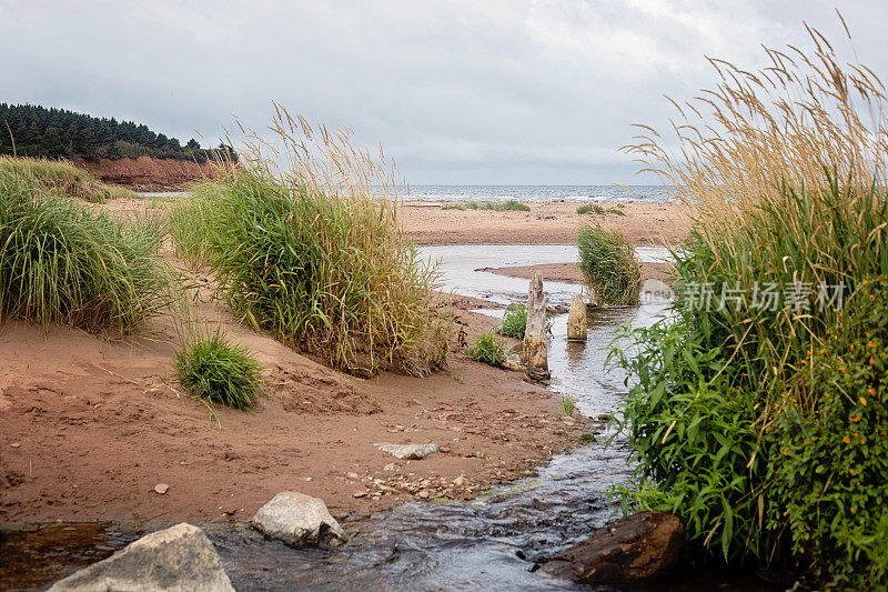 海湾海岸公园路海滩