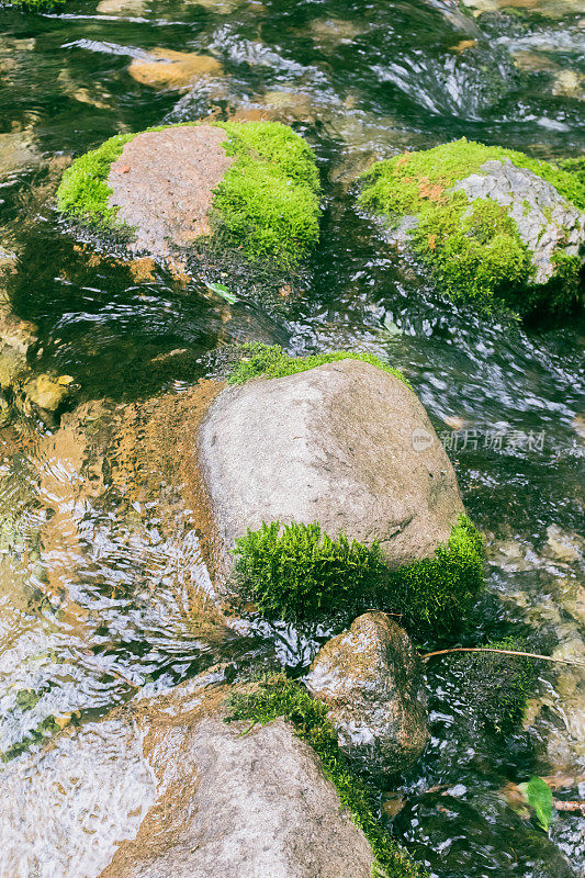 山上的小溪，河岸，长满青苔的石头，流水