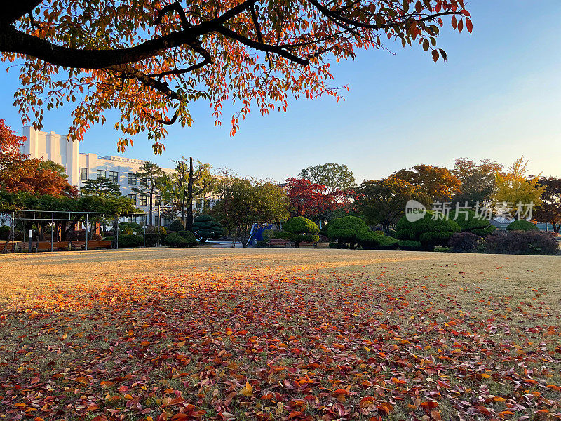 10月的早晨