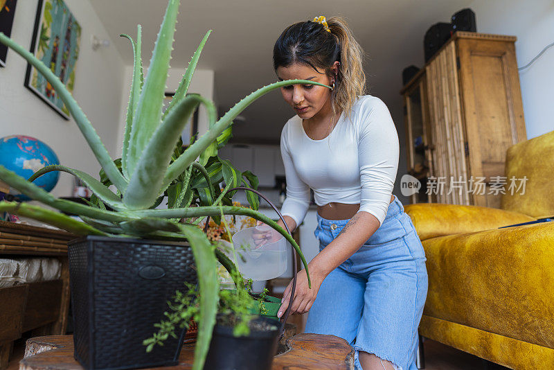 一位拉丁妇女在她房子的客厅里照顾她美丽的植物，确保它们不缺肥料或水