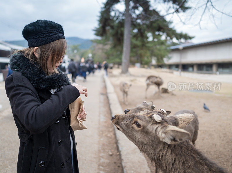 在奈良公园喂鹿的女游客很开心