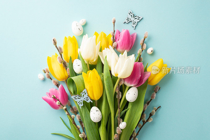 复活节装饰概念。顶部视图照片的花束的黄色粉红色白色郁金香小猫柳枝鹌鹑蛋和蝴蝶在孤立的粉彩蓝色背景
