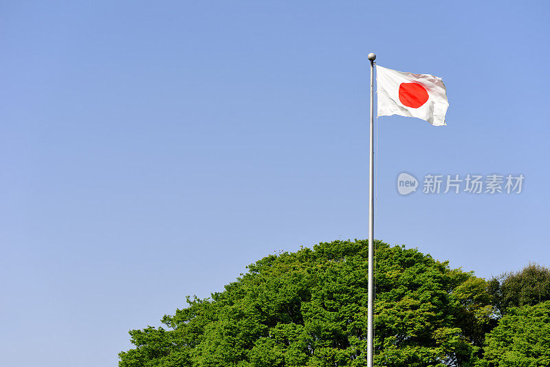 日本国旗与春天的树在晴朗的天空