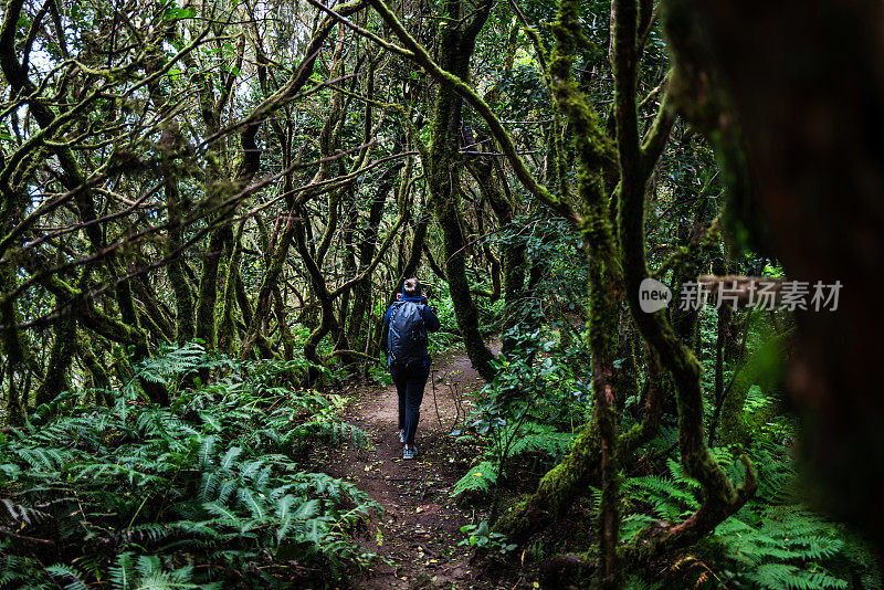 一名妇女在加纳利群岛特内里费岛的阿纳加乡村公园徒步旅行