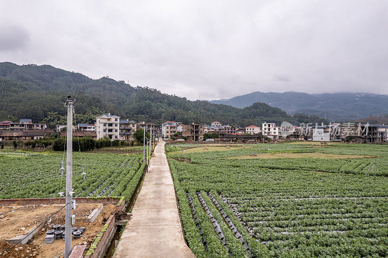 鸟瞰现代农业的田野和道路