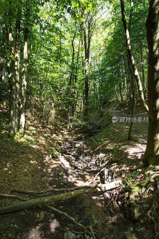 小峡谷和小溪，生物圈保护区Rhön，德国