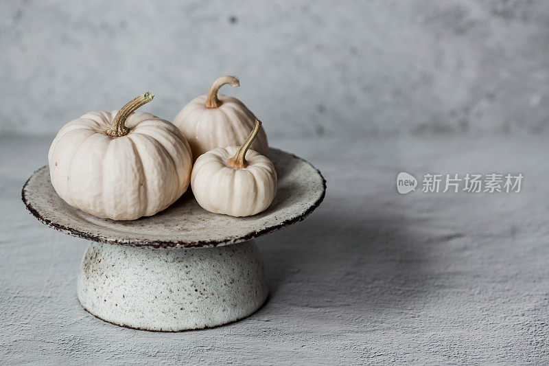 季节性秋季食品。新鲜的南瓜放在一个时尚的陶瓷盘子上，灰色的混凝土背景。瓜类丰收。