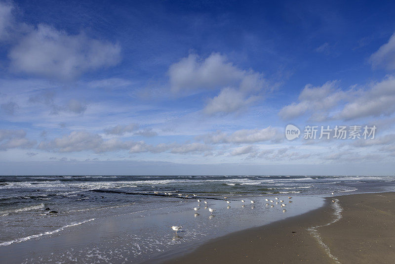 北海沿岸的海景