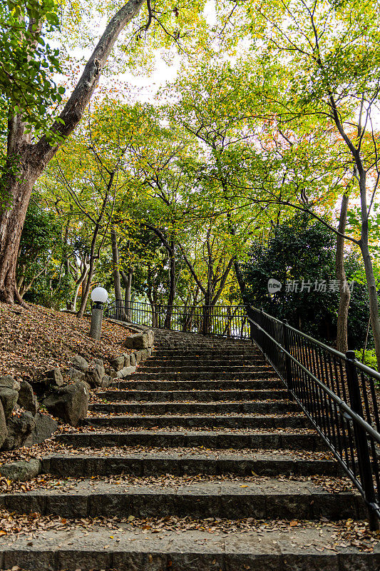 日本天王寺公园附近优雅的街道
