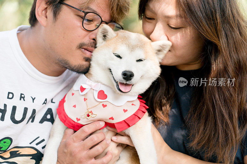 图为一对亚洲夫妇向他们的棕白相间的狗表达爱意
