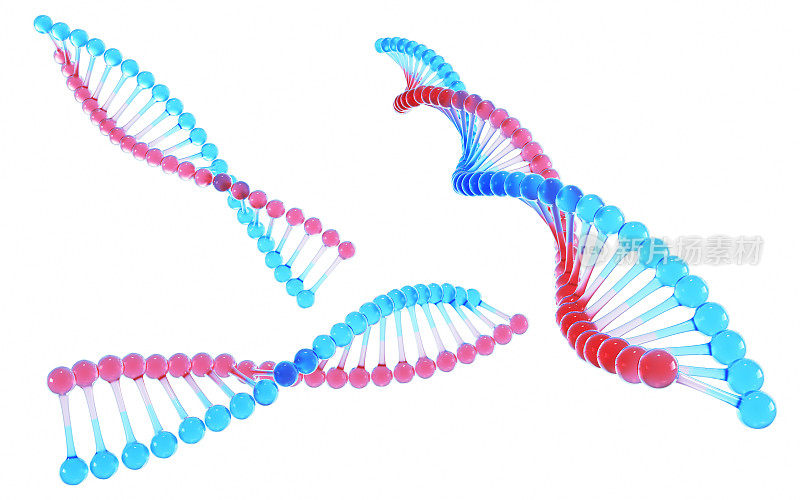 DNA透明蓝与红，科学与医学概念，剪影路径