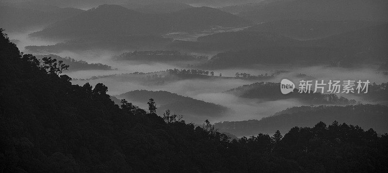 越南中部高地的雾山