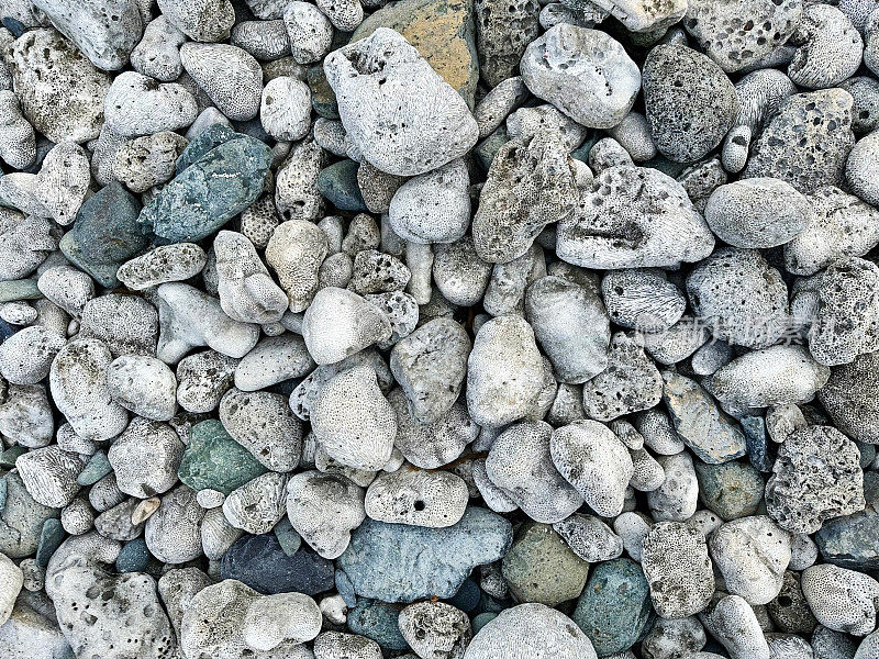 化石沙滩石
