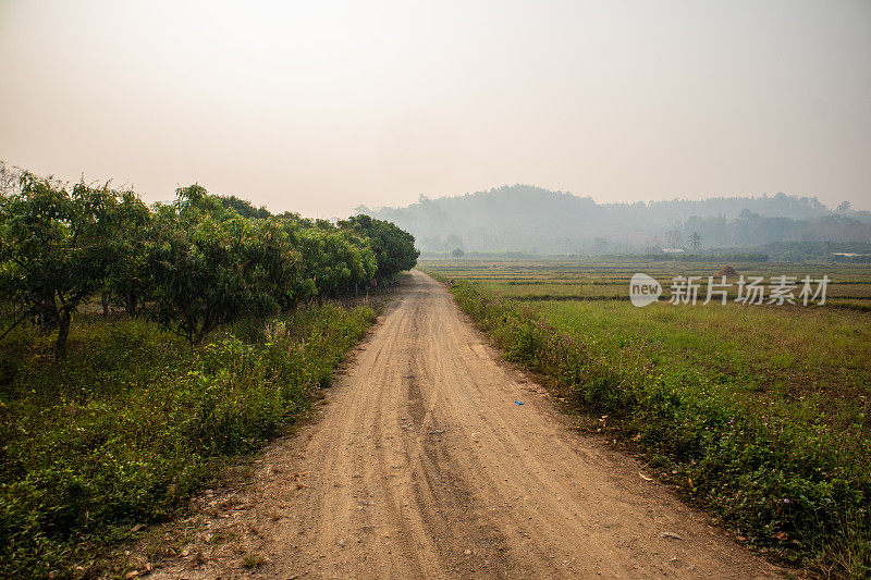 农村地区的土路(乡村路)，可以看到村民的农田。