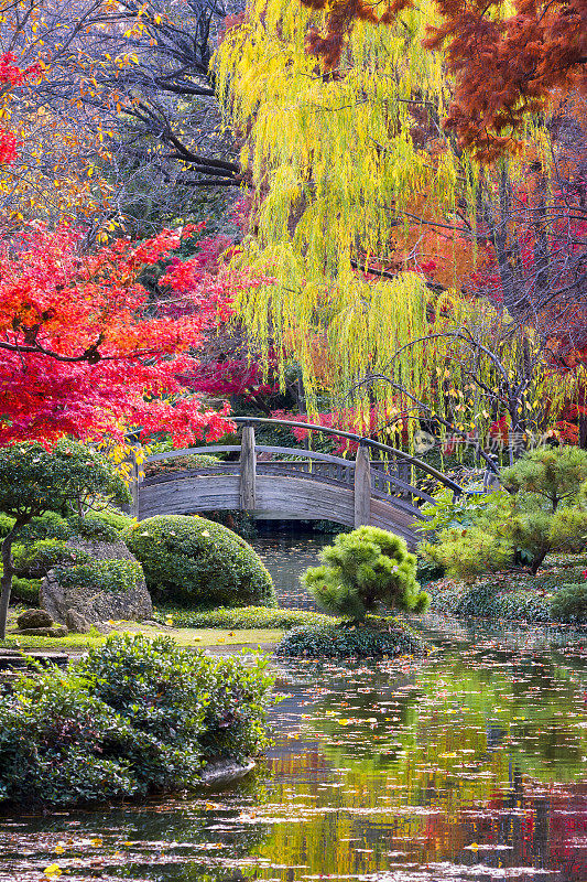 日本花园中小溪上的木制月亮桥