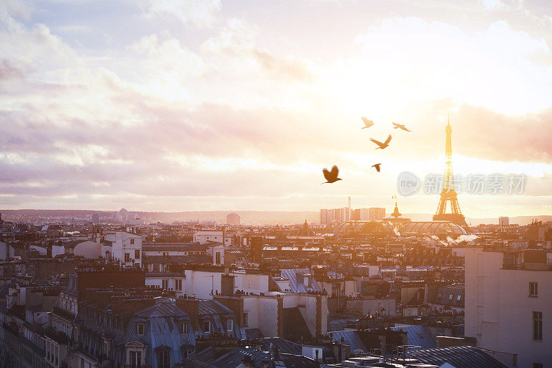 日落时美丽的巴黎全景