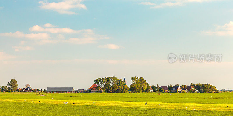 荷兰弗里斯兰省的农田和一个小村庄