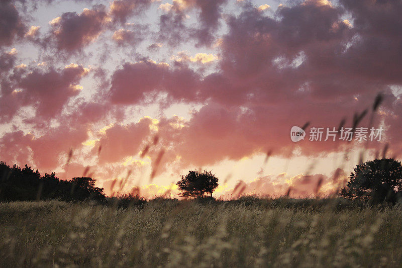 田野上的日落