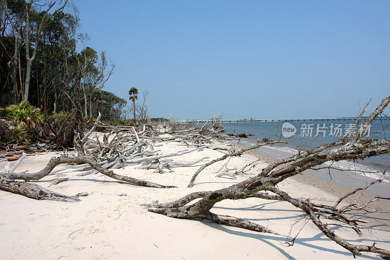 浮木海滩