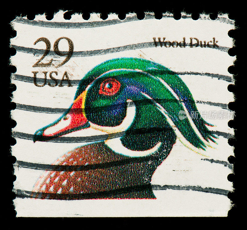 木鸭邮票