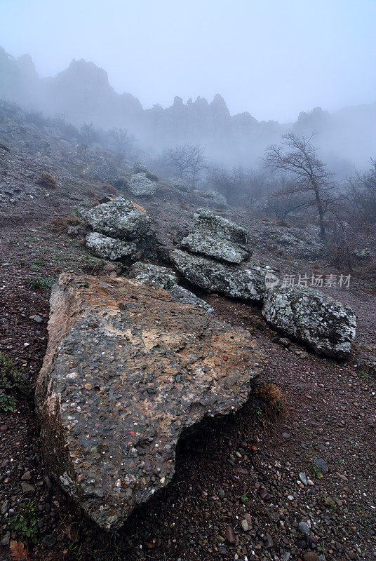 山景观与岩石在雾