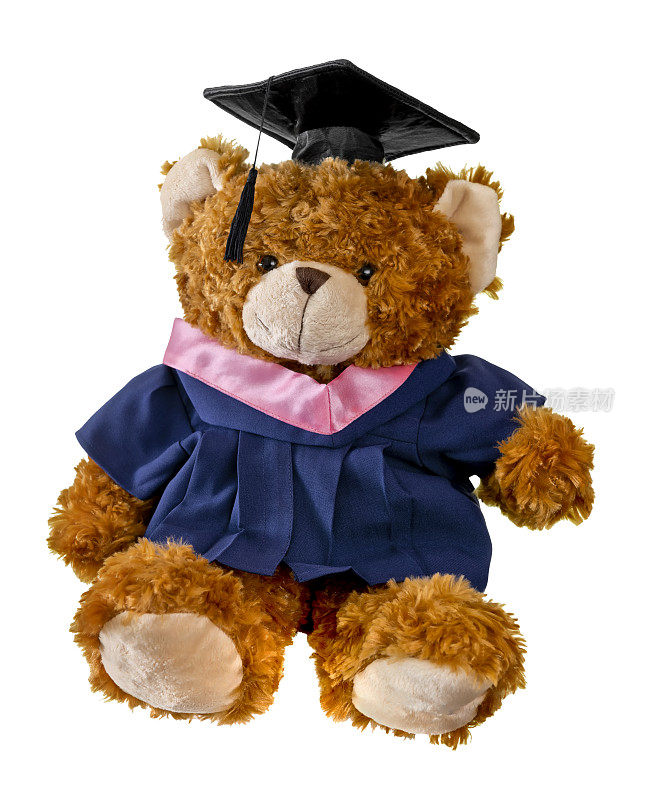 穿着毕业礼服的泰迪熊