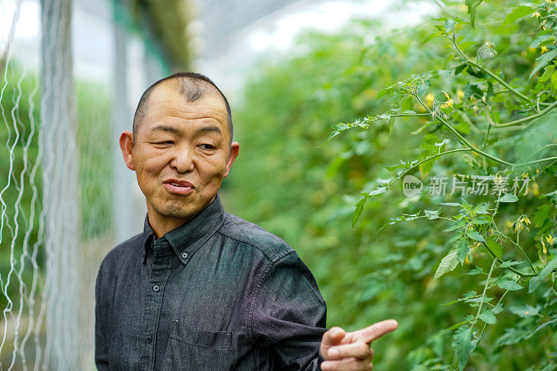 在温室里的农民