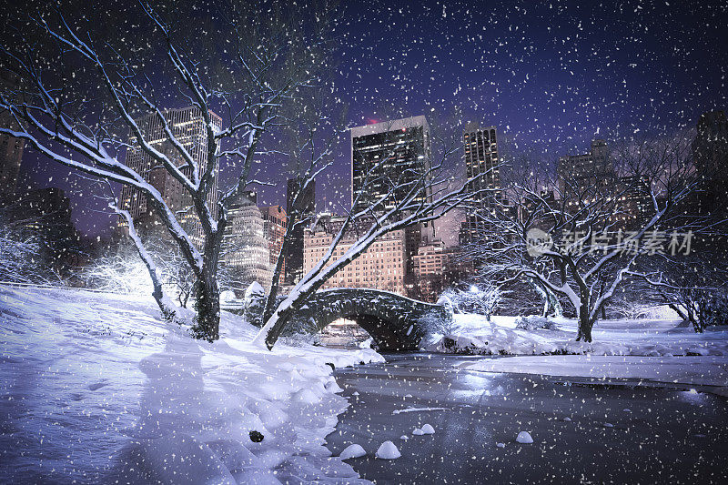 中央公园正在下雪