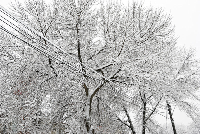 覆盖着雪