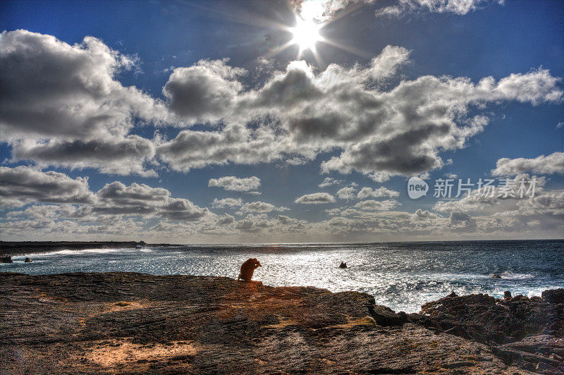 冰岛南部海岸线的海岸景观和岩石岛屿