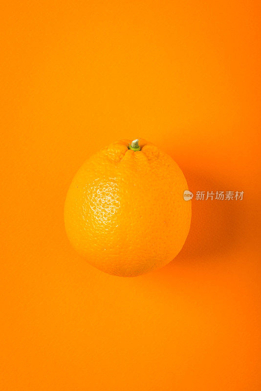橘色纸背景，极简静物画