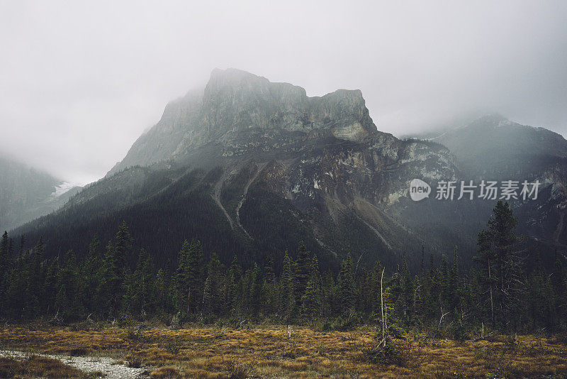 雨天在山上和森林里