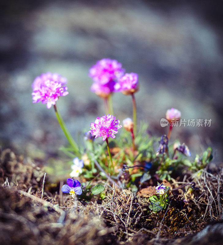 海节俭