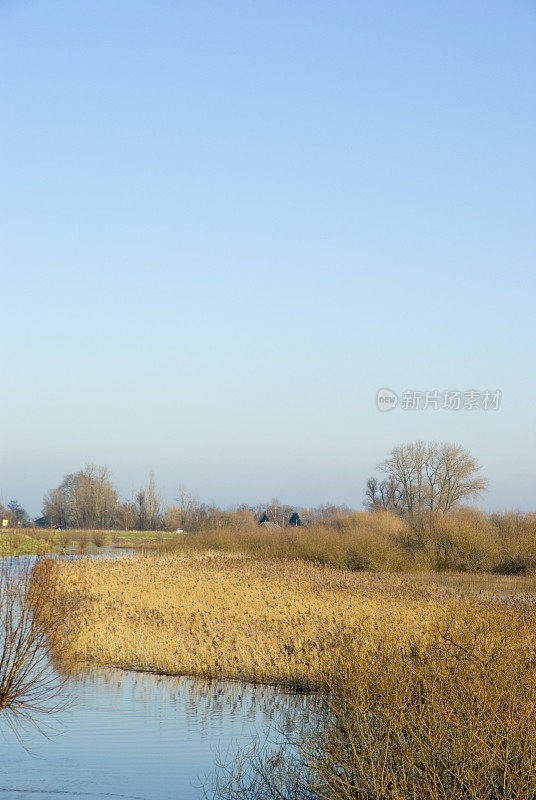 荷兰景观:淹没的IJssel河