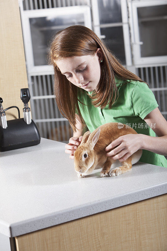 女孩和宠物兔子在兽医诊所