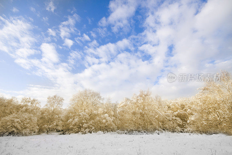 蓝色的天空覆盖着白雪覆盖的树木和田野