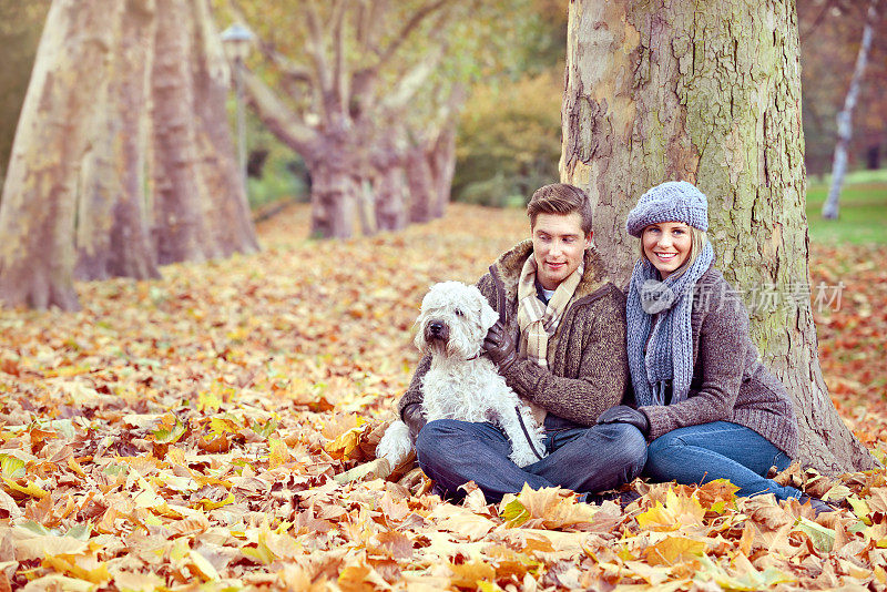 一对年轻夫妇和他们的狗在公园里放松
