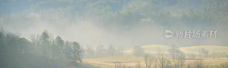 全景景观烟雾缭绕的山脉，薄雾和田野