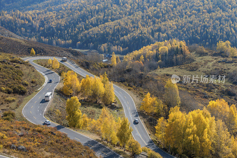 秋季景观靠近喀纳斯湖，新疆，中国