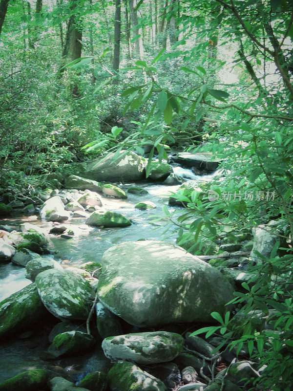 大烟山国家公园小溪,小溪,小溪,瀑布