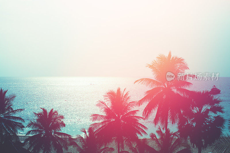 日落在热带地区。椰子树和绿松石海