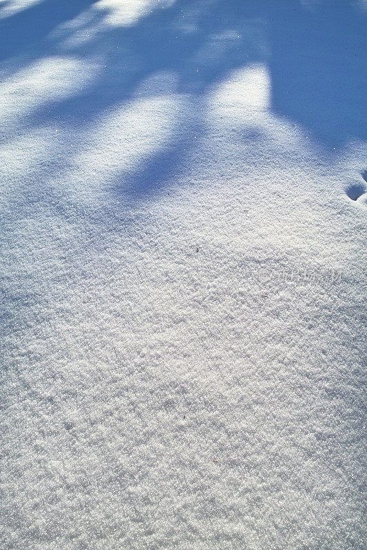 以白雪为背景的冬季景观