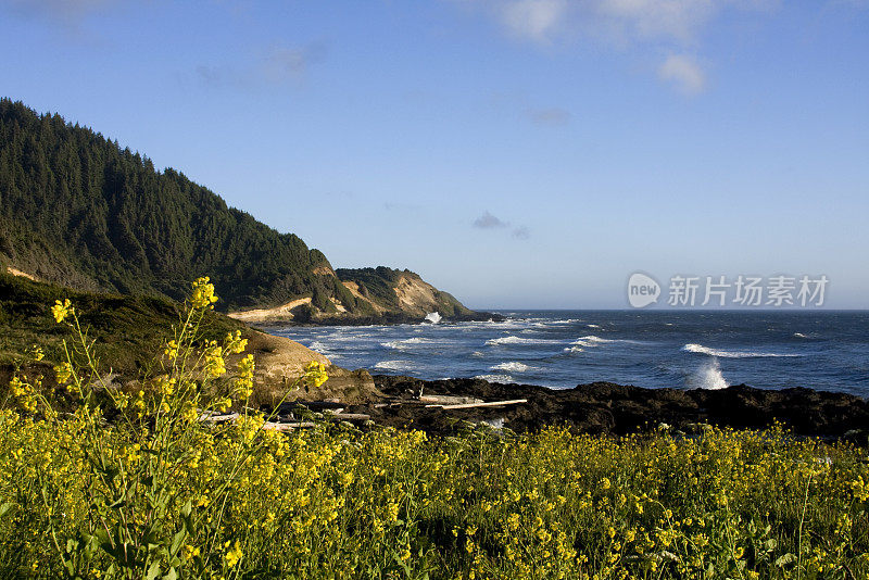 俄勒冈州海岸