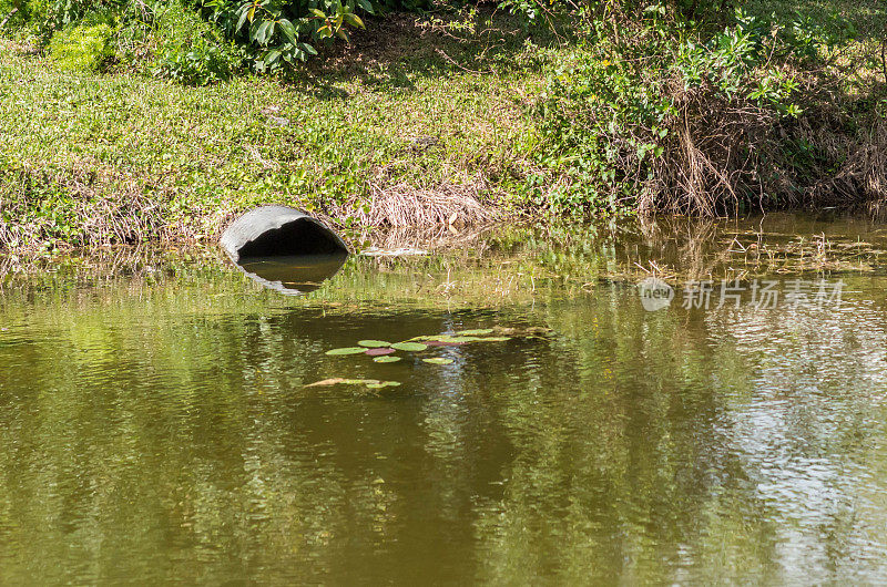 管在湖