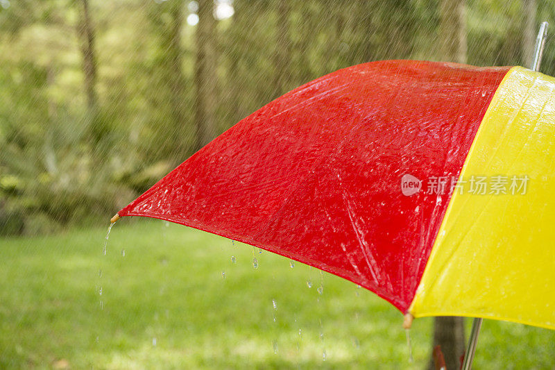 雨天。雨点落在户外五颜六色的伞上。春天,夏天。