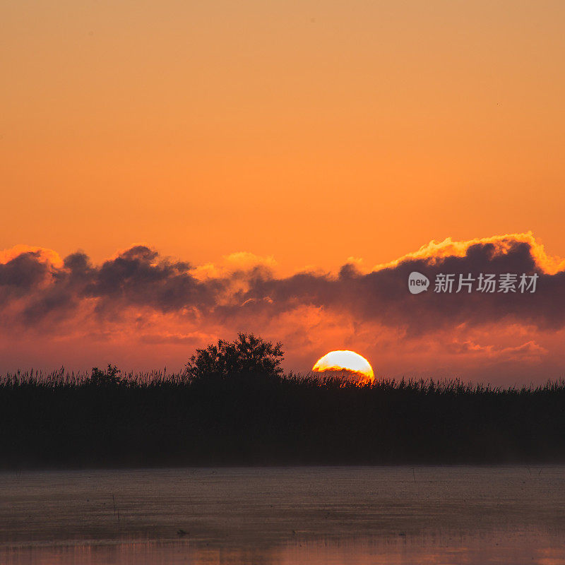 黎明在岸边的海湾里