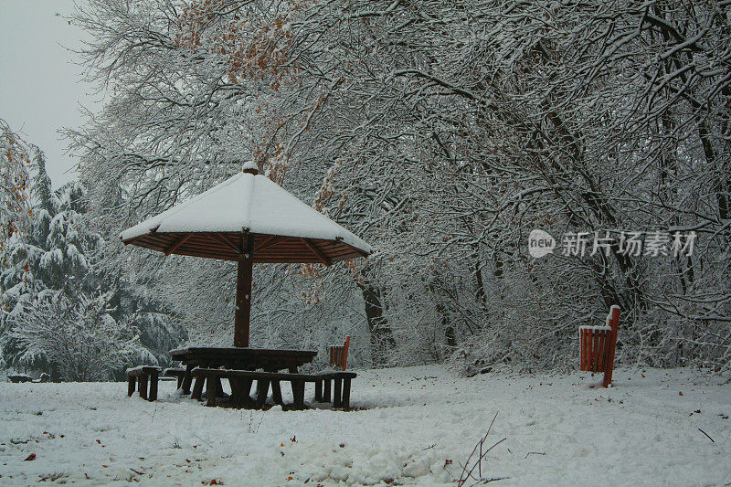 贝尔格莱德冬天的雪景