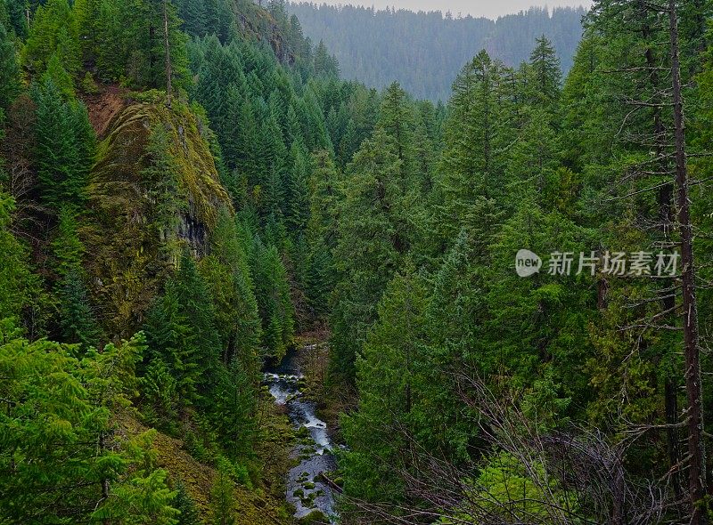 北安普夸河荒野