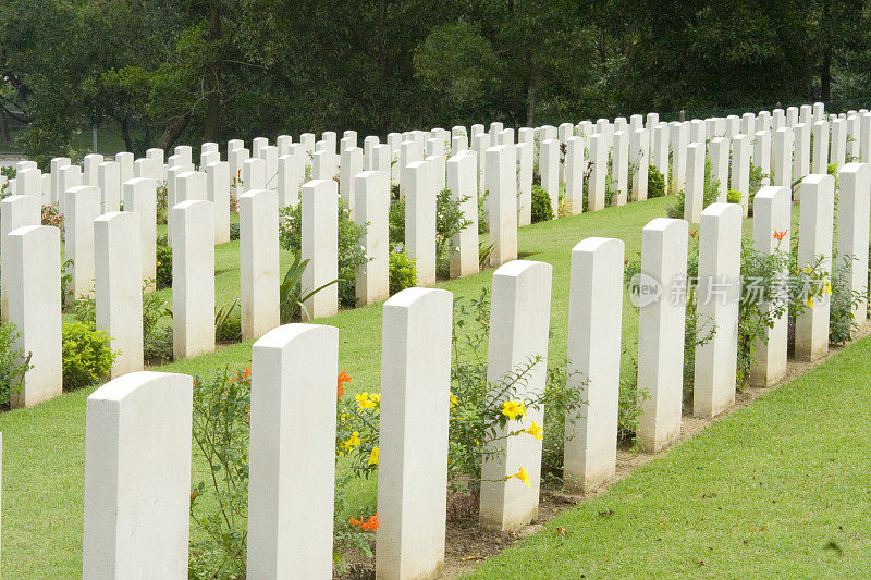 战争公墓的墓碑