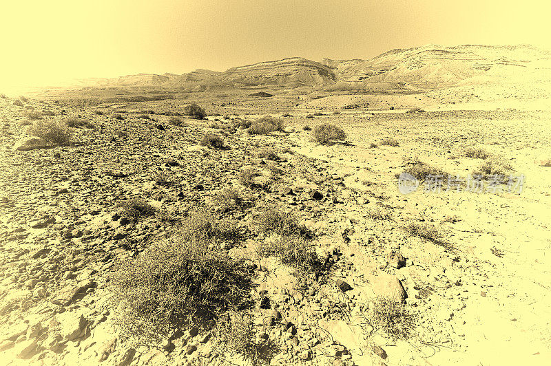 以色列内盖夫沙漠的岩石山。